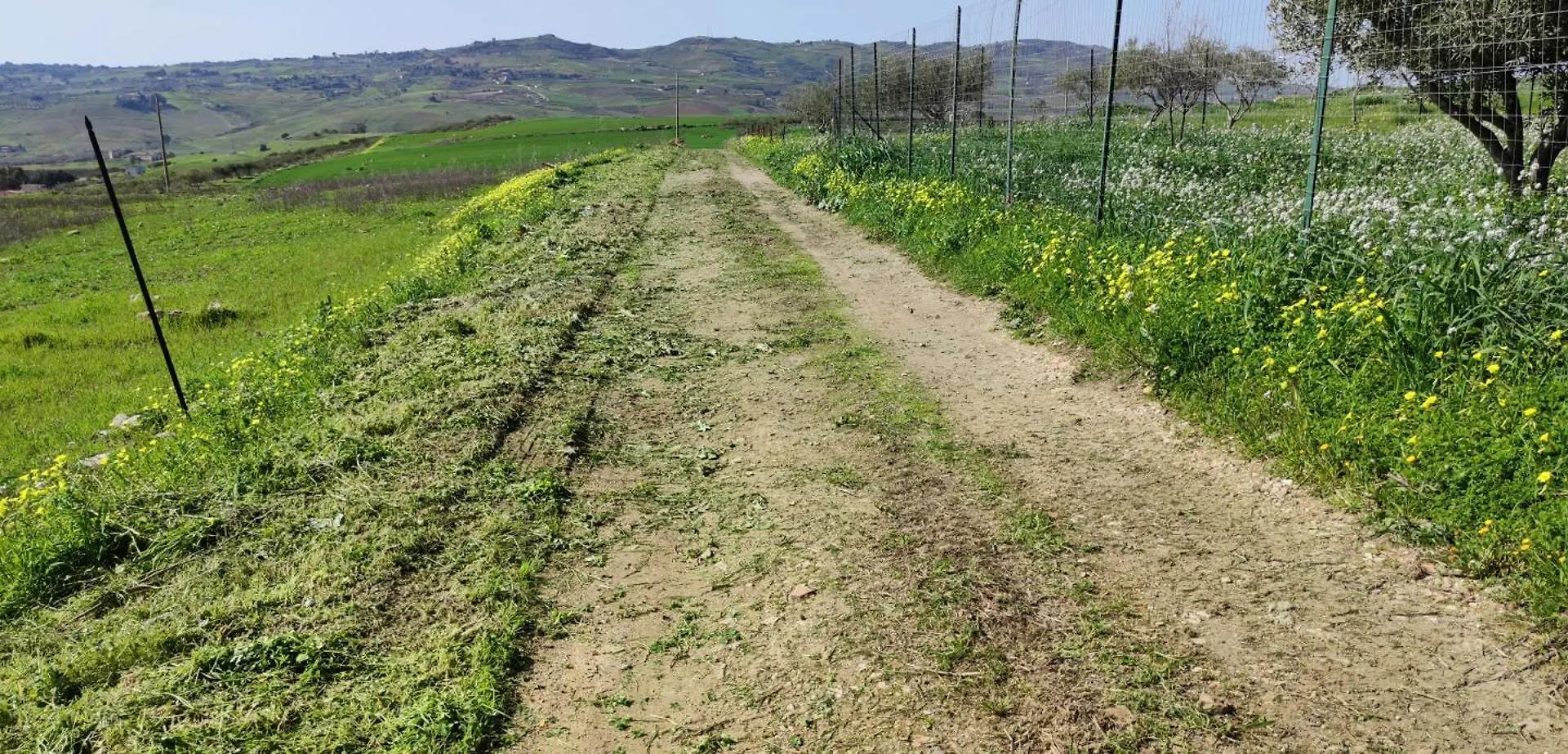 B&B Della Via Francigena Agrigento Bed & Breakfast